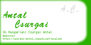 antal csurgai business card